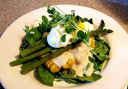 Gnocchis maison à la sauce béchamel à l'ail, avec oeuf dur, le tout sur un nid de verdures du moment garni de pousses de pois