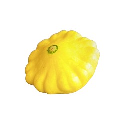 Courgette