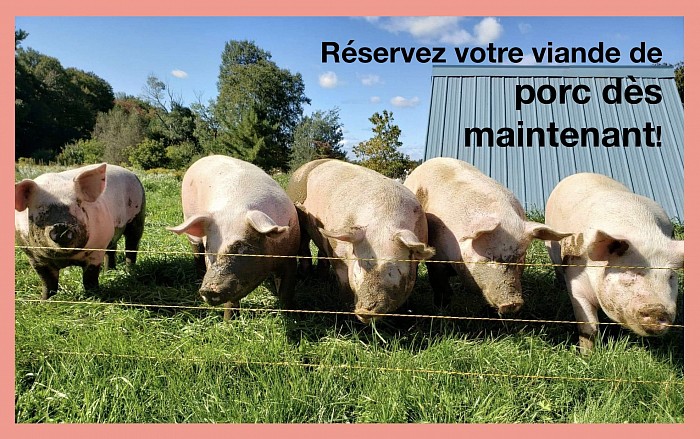 Visuel vente de porc au pâturage