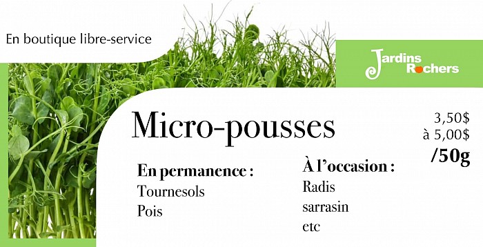 Visuel général pour micro-pousses