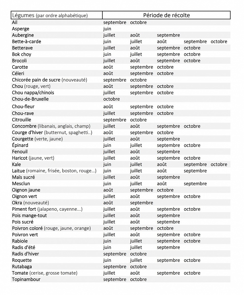 JardinsRochers: Visuel légumes