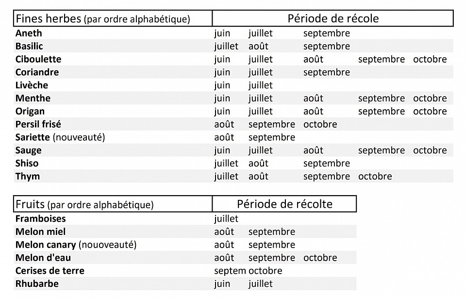 JardinsRochers: Visuel fines herbes et fruits