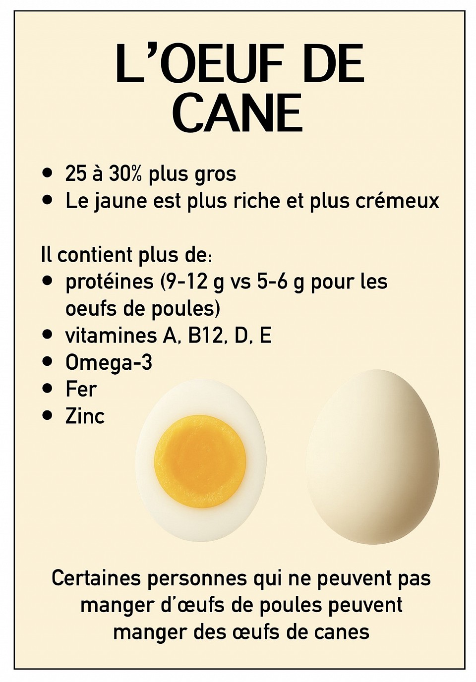 Visuel nutrition œufs de canes