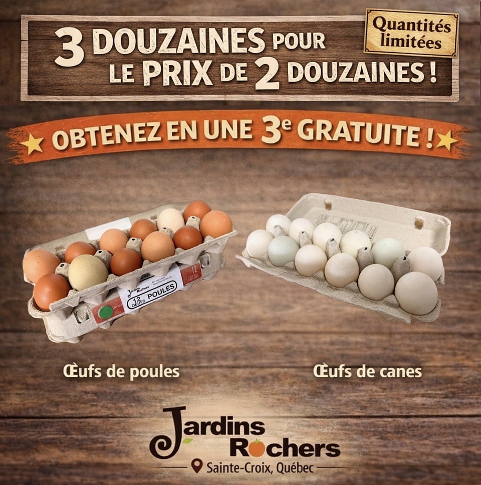 Visuel pub JR 3 douzaines d’œufs pour le prix de 2 douzaines d’oeufs