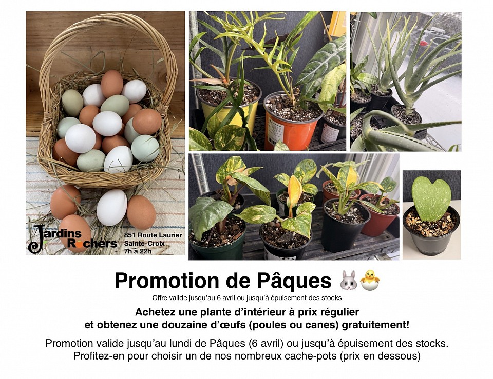 Visuel pub spécial achat d’une plante et vous avez un douzaines d’œufs gratuitement