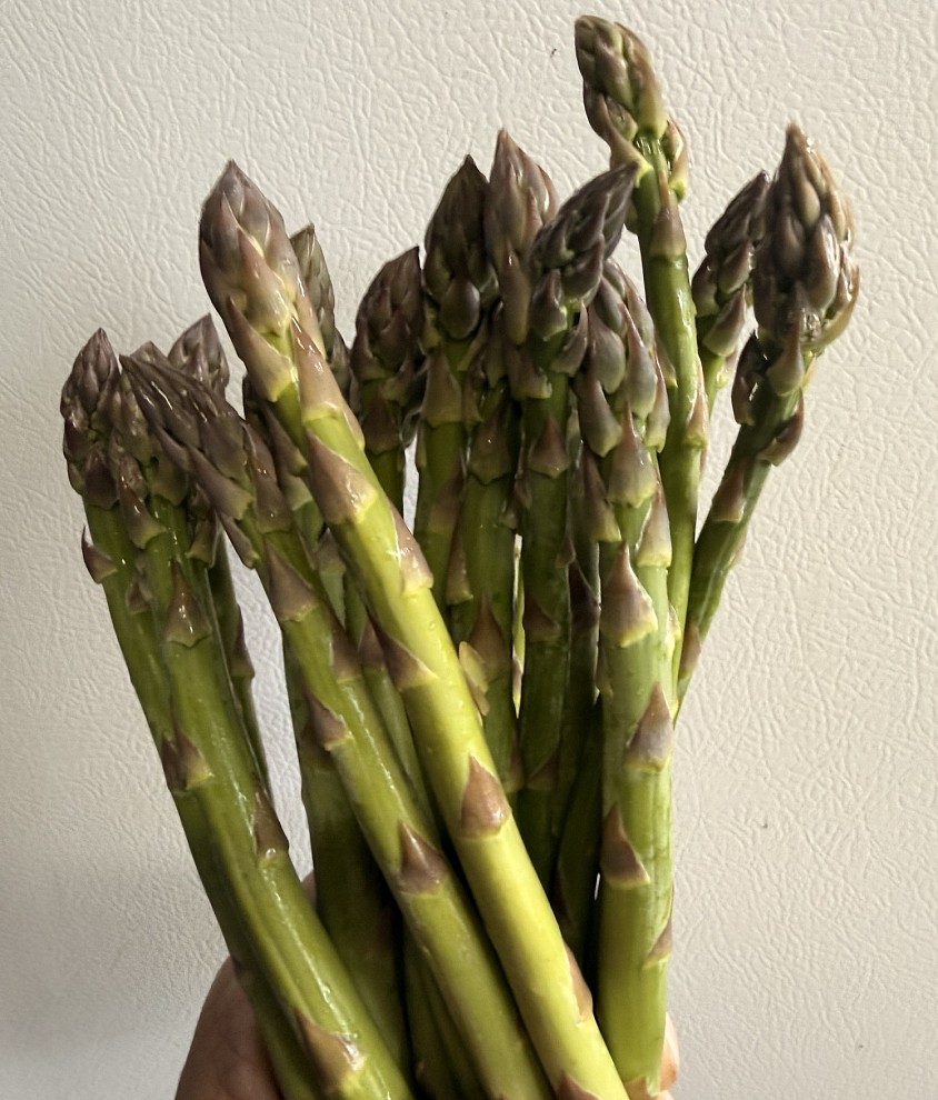 Visuel d’asperges arrivées